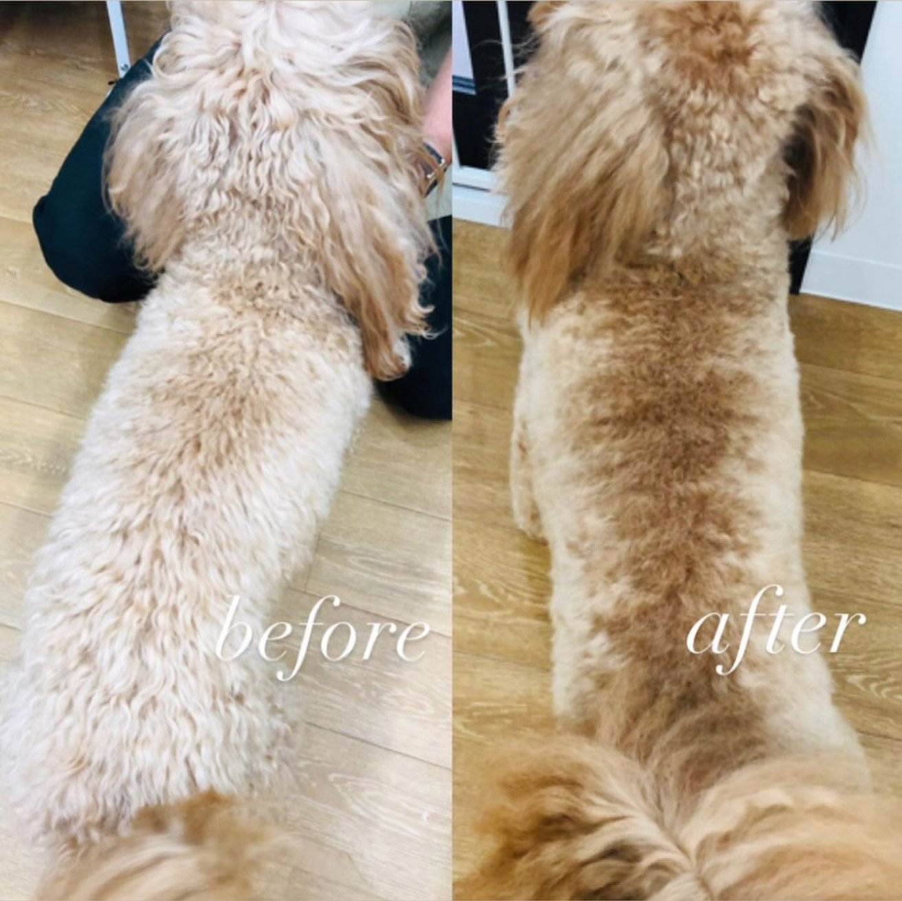 ラフィバスの効果