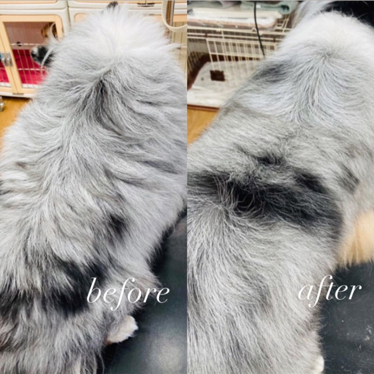 ラフィバスの効果