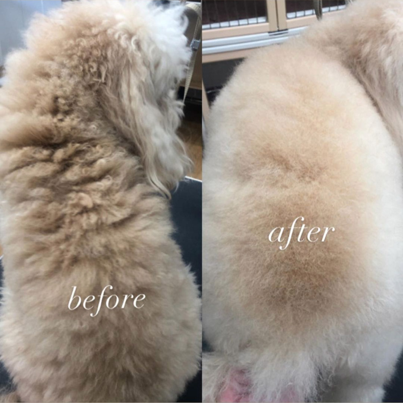 ラフィバスの効果