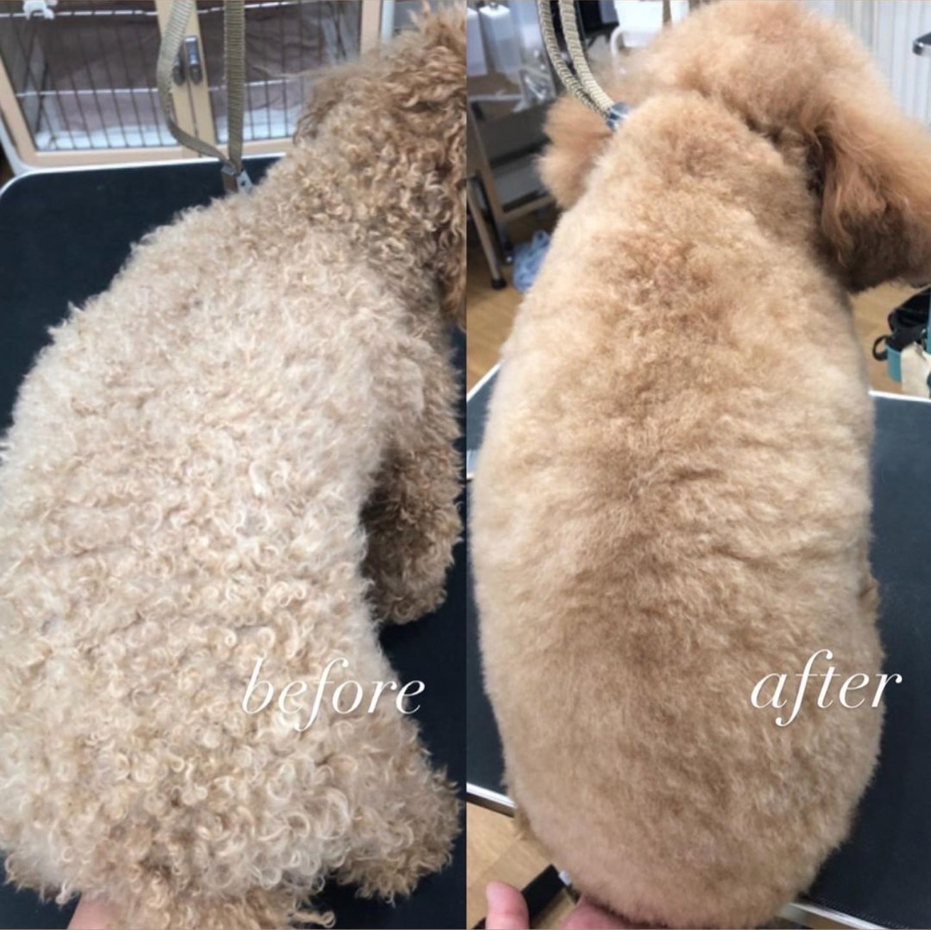 ラフィバスの効果